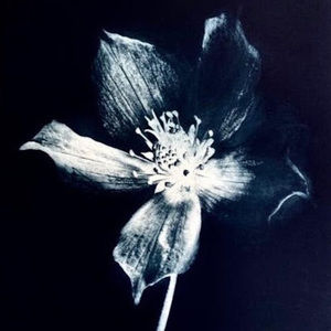 Meet your Posher, Kathryn